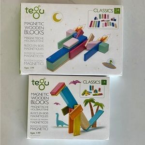Tegu Magnetic Wooden Blocks 38 pieces - gently used